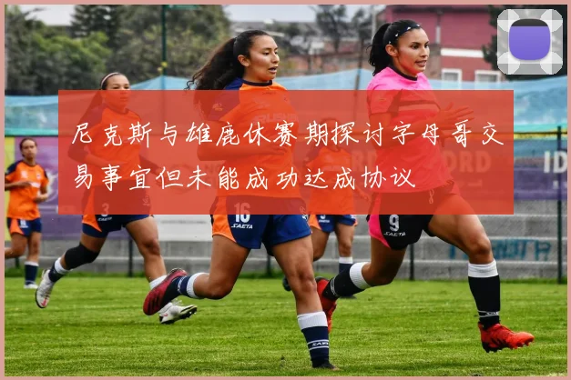 尼克斯与雄鹿休赛期探讨字母哥交易事宜但未能成功达成协议